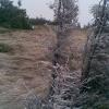 , Janusz K