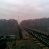 , Janusz K