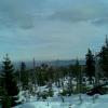 , Janusz K