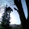 , Janusz K