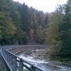 , Janusz K