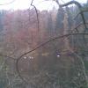 , Janusz K