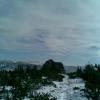 , Janusz K