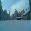 , Janusz K