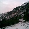 , Janusz K