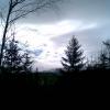 , Janusz K