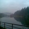 , Janusz K