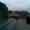 , Janusz K