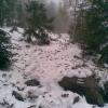 , Janusz K