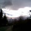 , Janusz K