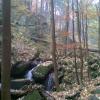, Janusz K