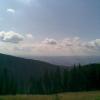, Janusz K