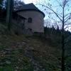 , Janusz K