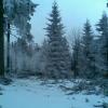 , Janusz K
