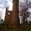 , Janusz K