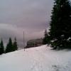 , Janusz K