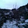 , Janusz K