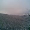 , Janusz K