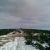, Janusz K