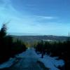 , Janusz K