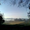 , Janusz K