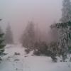 , Janusz K