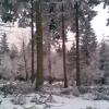 , Janusz K