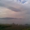 , Janusz K