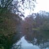 , Janusz K