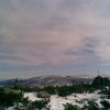 , Janusz K