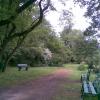 Park przy szkole, Janusz K