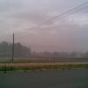 , Janusz K
