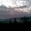, Janusz K