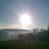 , Janusz K