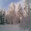 , Janusz K