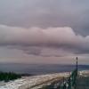 , Janusz K
