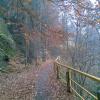 , Janusz K