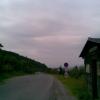 , Janusz K