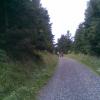 , Janusz K
