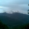 , Janusz K