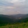 , Janusz K