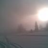 , Janusz K