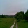, Janusz K