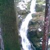, Janusz K