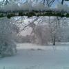 , Janusz K