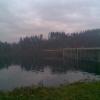 , Janusz K
