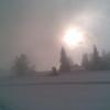 , Janusz K