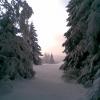 , Janusz K