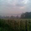 , Janusz K
