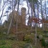 , Janusz K